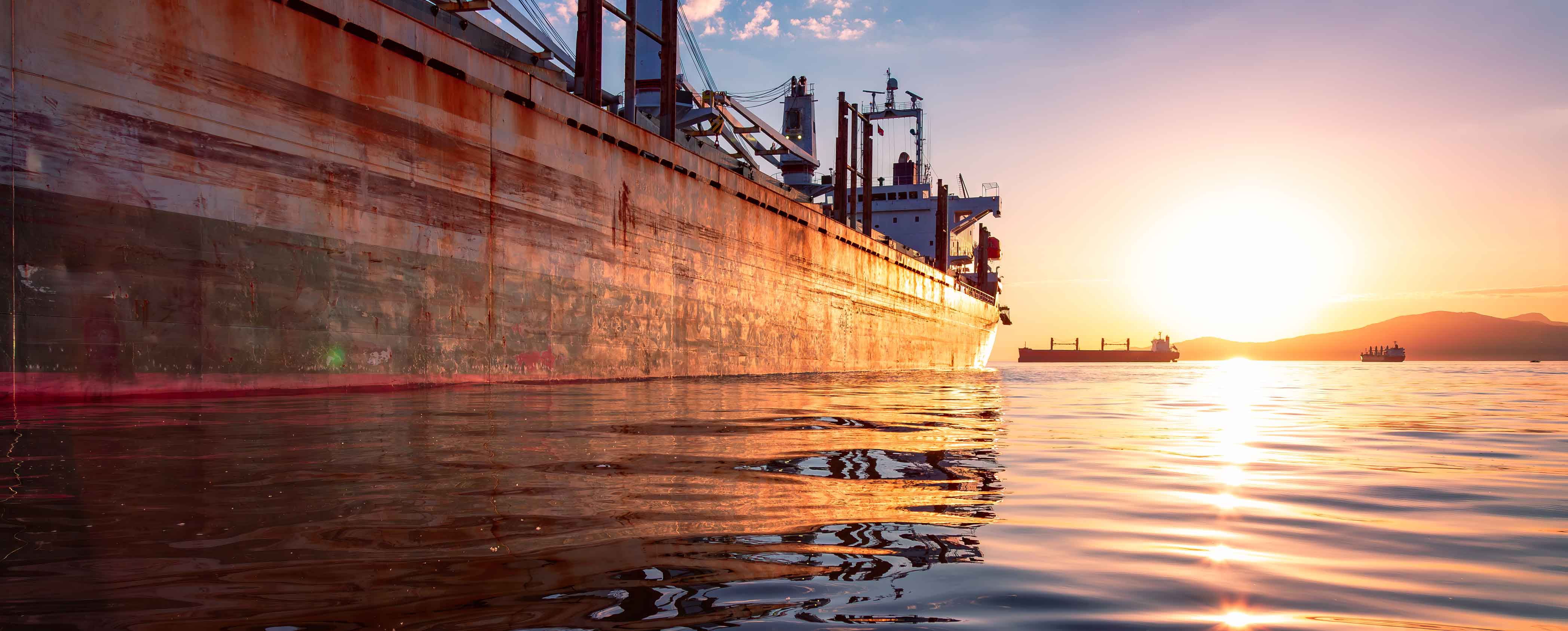 Our website has been updated...